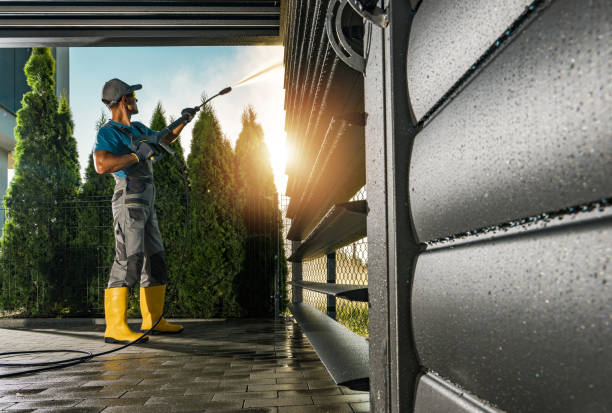 Best Sidewalk and Walkway Cleaning  in Windsor, VA